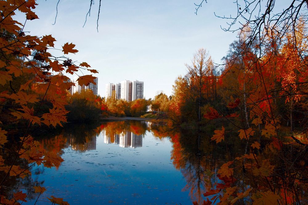 Photograph by Галина Сычева