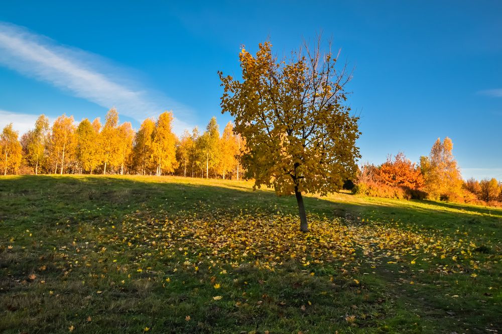 Photograph by Ксения Прохорова