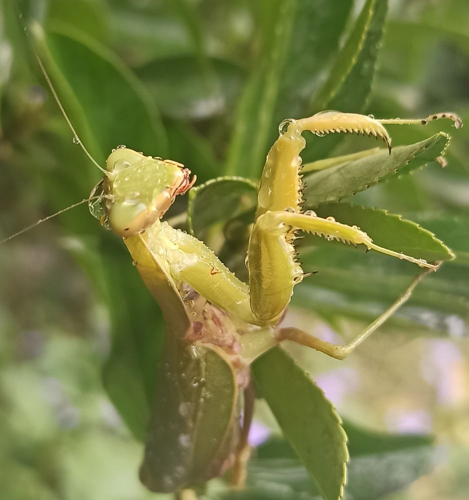 Photograph by Тихонова Ольга