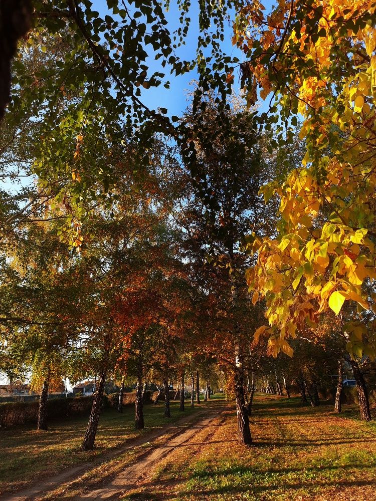 Photograph by Jelena Vasic