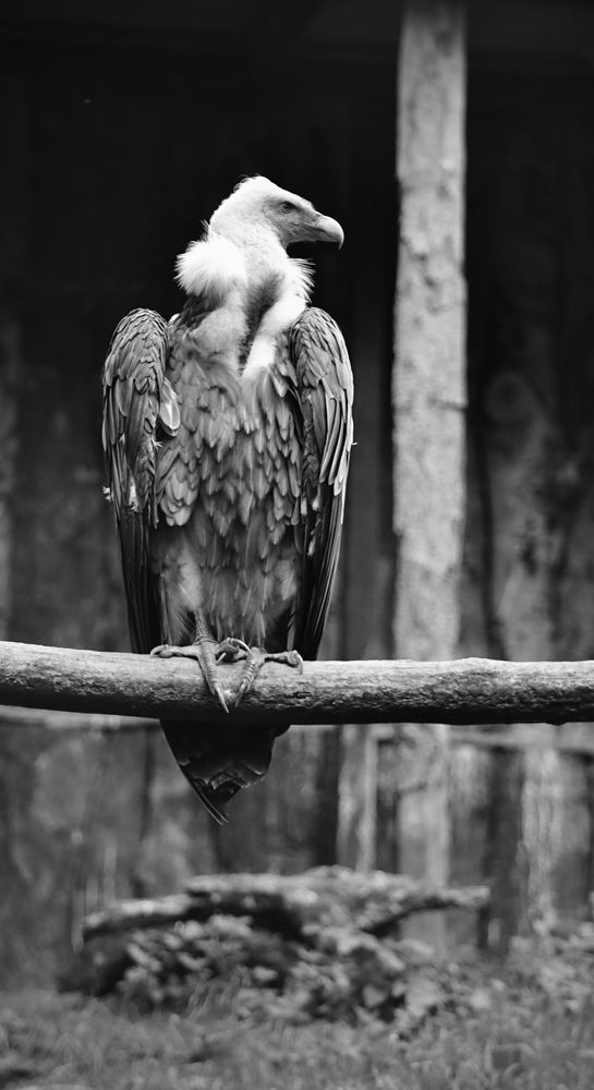 Photograph by Елена Ковалева