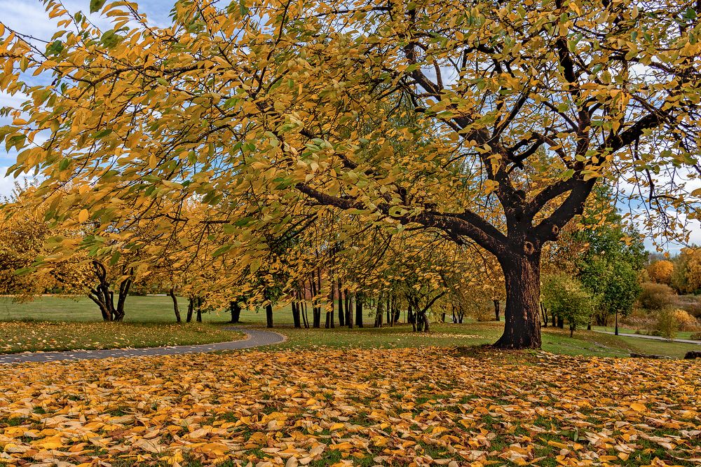 Photograph by Елена Стещенко