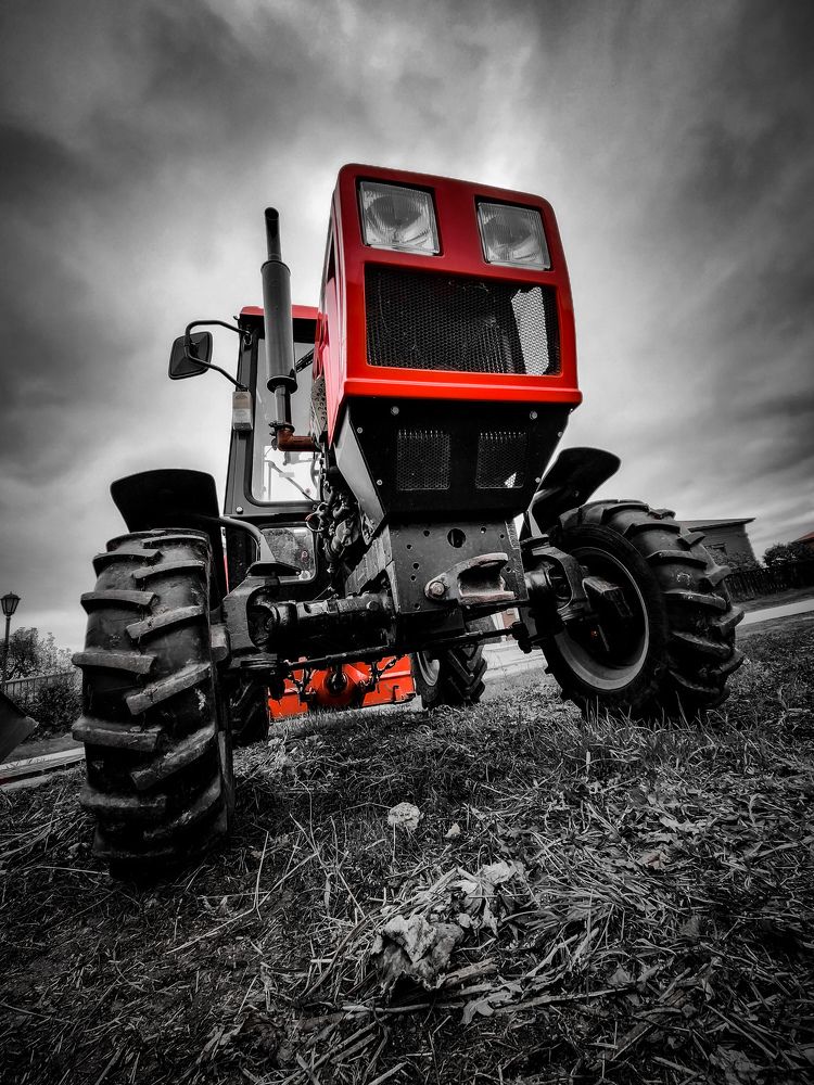 Photograph by Chic.chiquitita