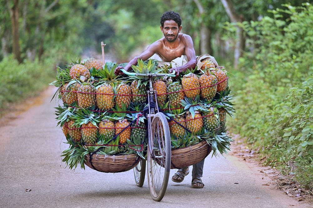 The Pineapple bicycle