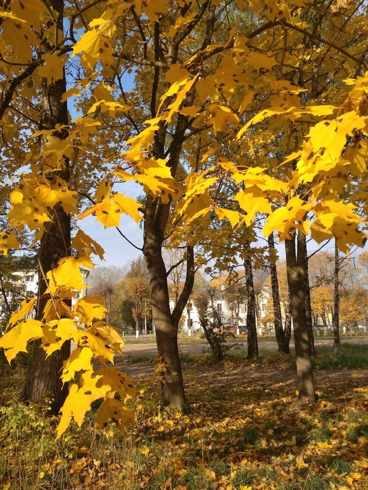 Photograph by Вероника Равзенкова