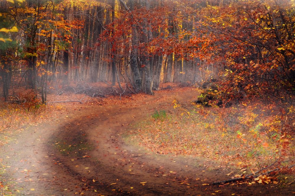 Photograph by Сергей Абашкин