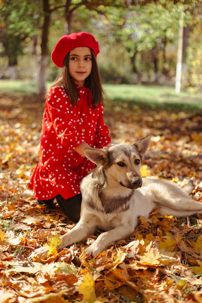 Photograph by Алина Гамаонова