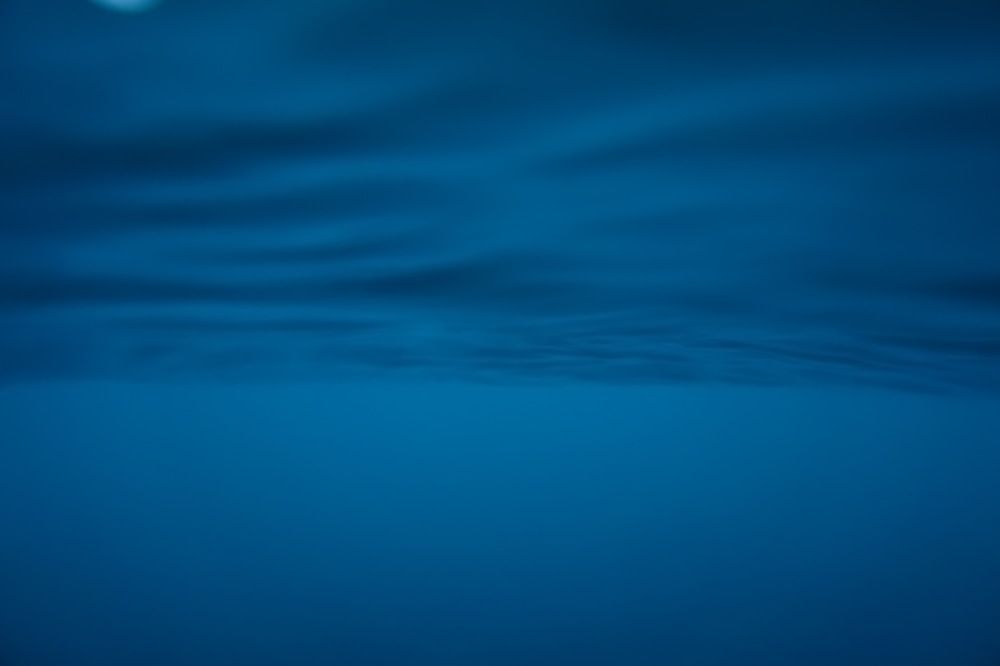 Фотография автора Медведев Сергей