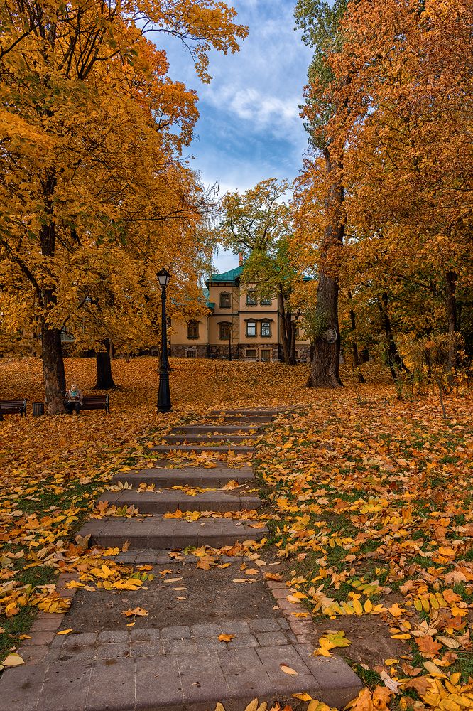 Photograph by Елена Стещенко