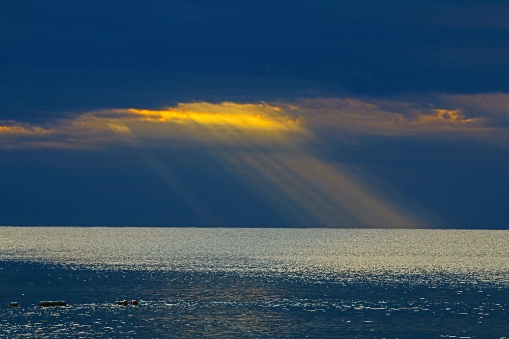Photograph by 