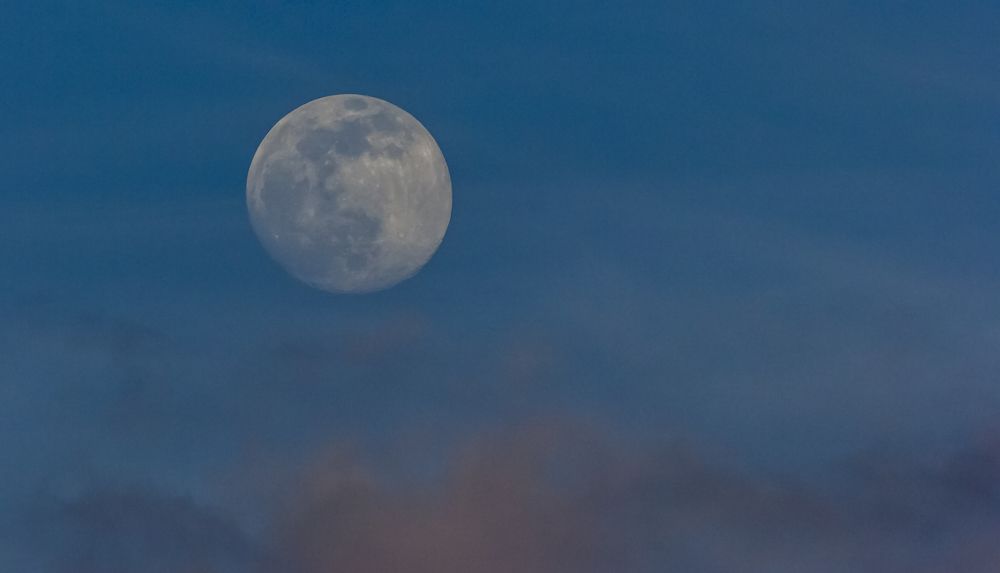 Фотография автора COMSA BOGDAN