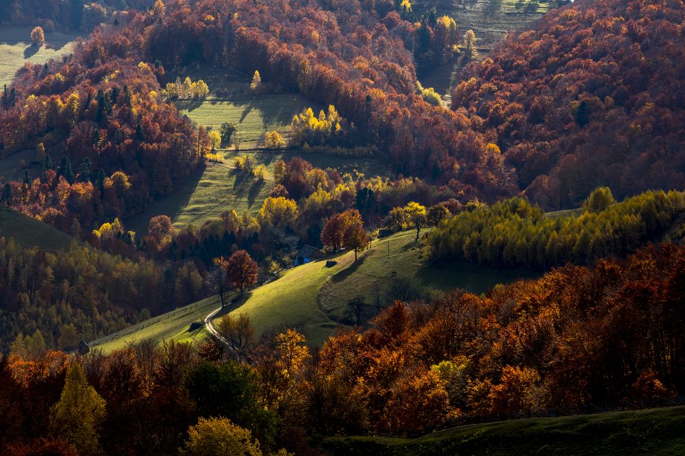 Photograph by COMSA BOGDAN