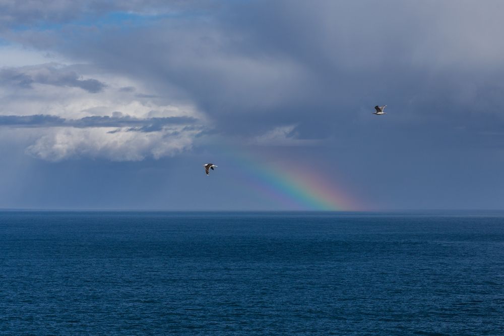 Фотография автора Наталья Василькова