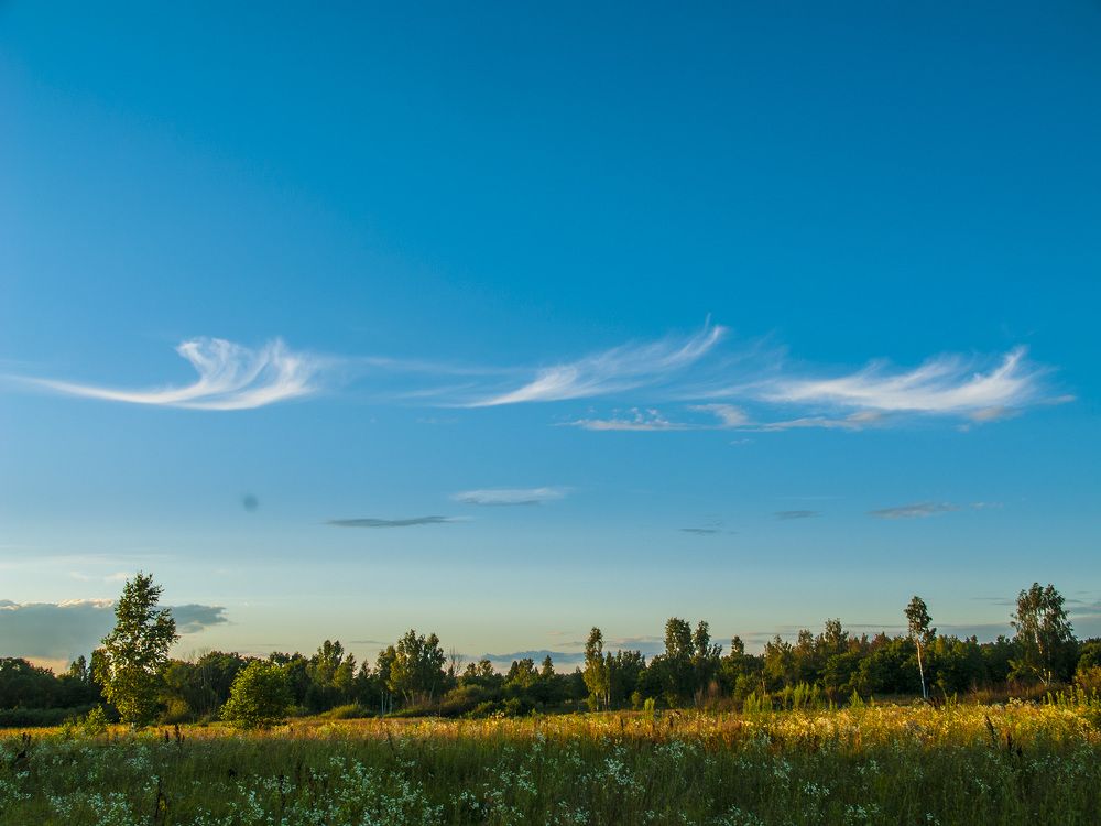 Вечерний свет