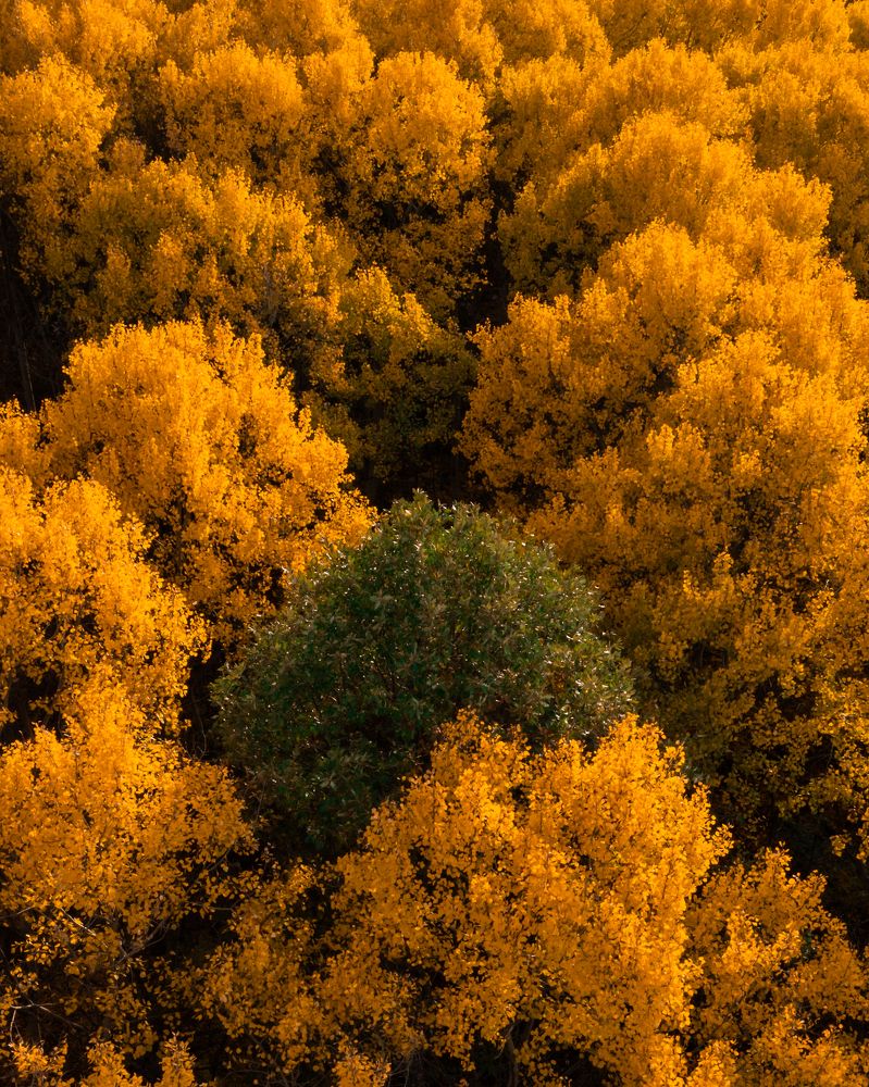 Photograph by Радослав Сотиров