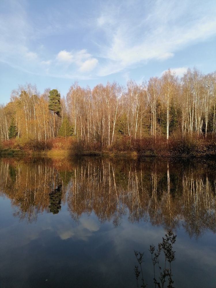 Photograph by Анжелика