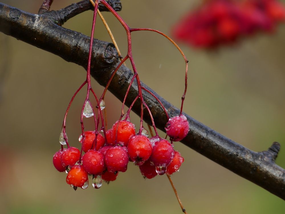 Photograph by Александр Кизим