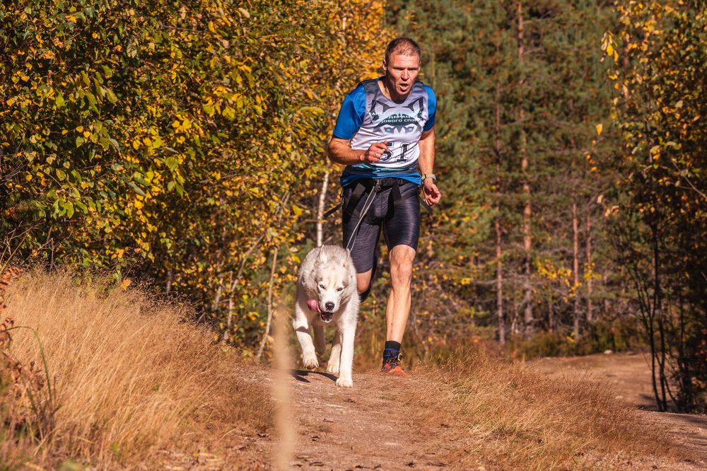 Photograph by Илья Юфа