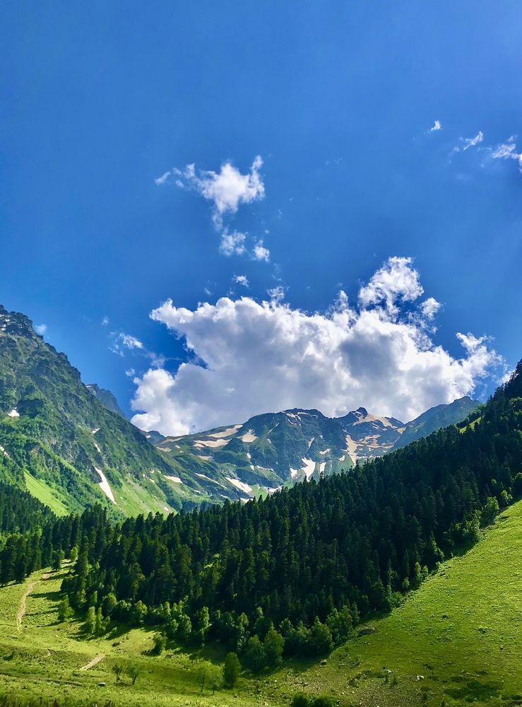 Снежные и вечно зеленые горы