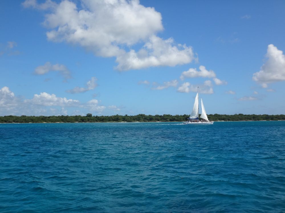 Photo #8264202