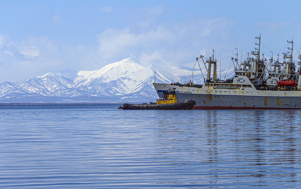 Фотография автора Анатолий Макоедов