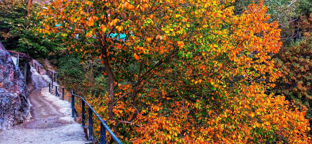 Фотография автора Mahdi Mohammadi