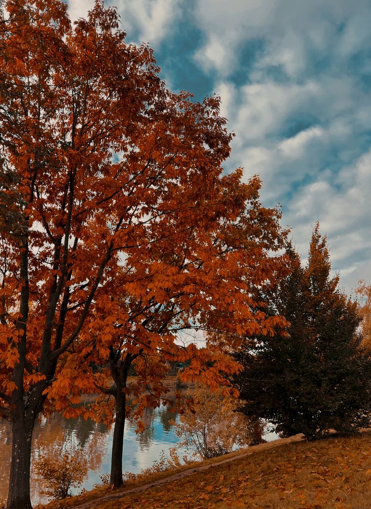 Photograph by Анастасия Куэлляр