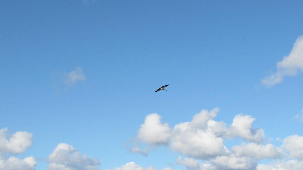 Photograph by Ильяс Альмухаметов