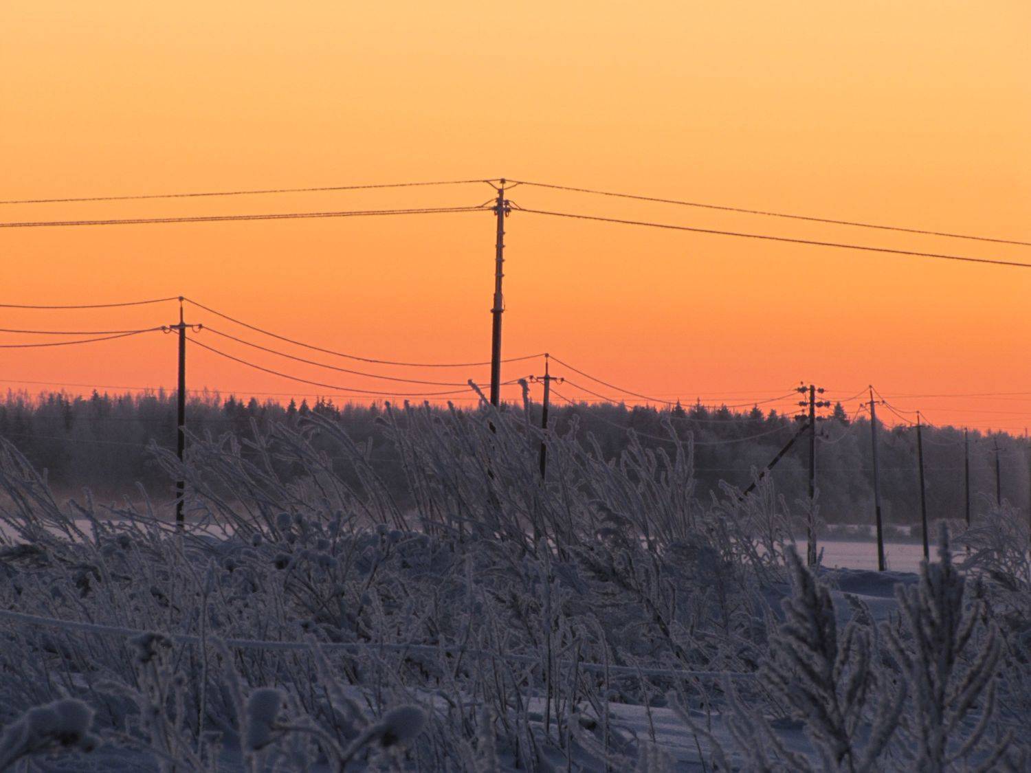 Photo #8264326