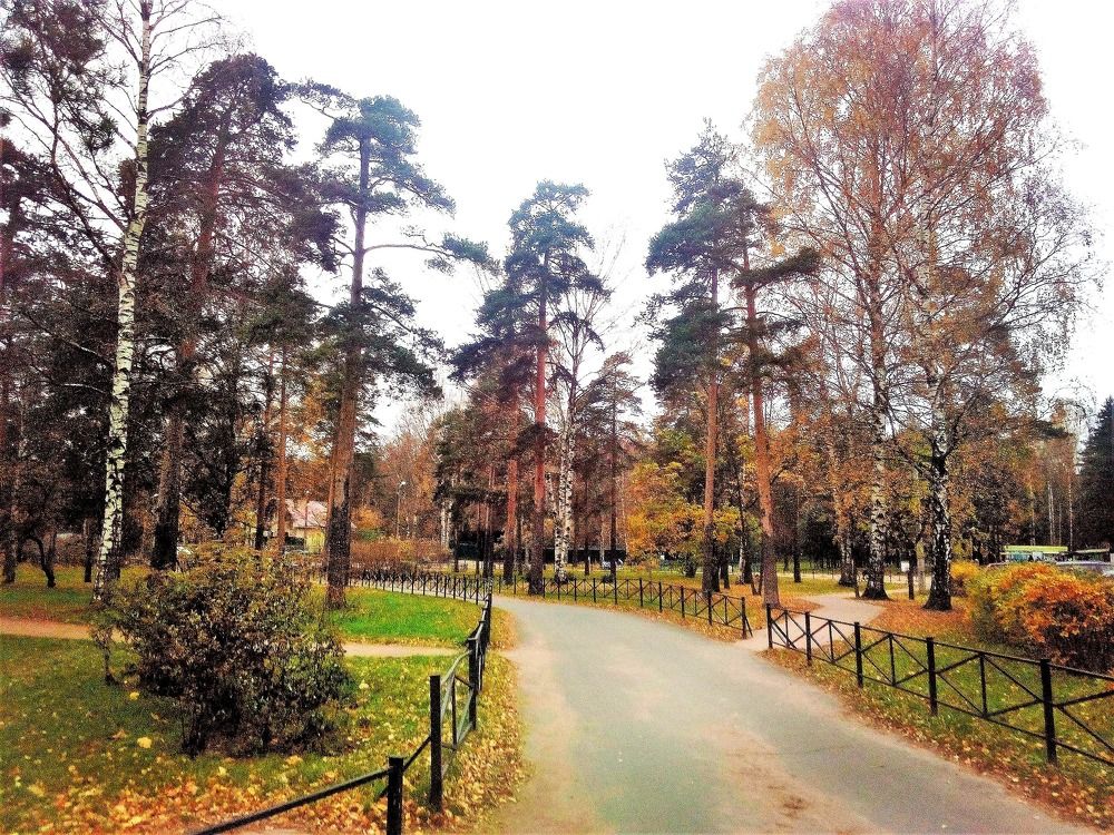 Сосновый парк, г. Санкт-Петербург