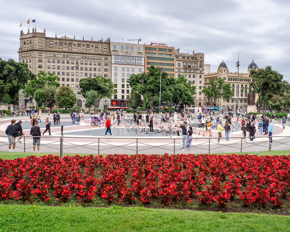 Photograph by Joao R Cortez