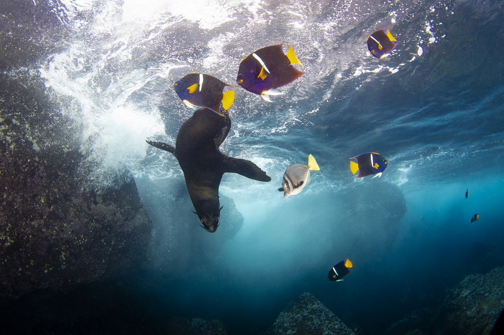 Photograph by Pavel Osada