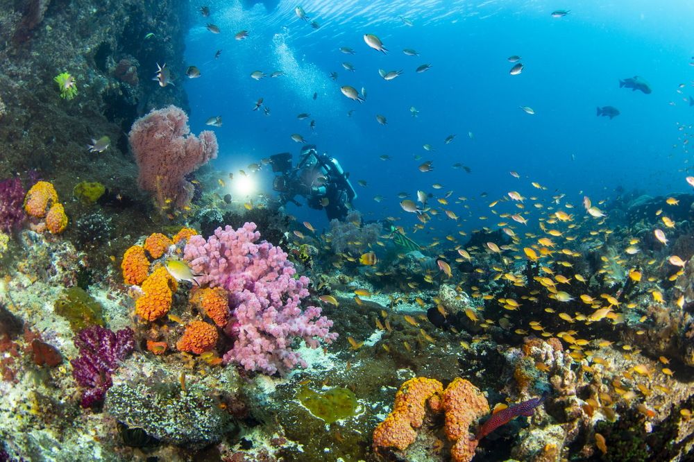 Photograph by Pavel Osada