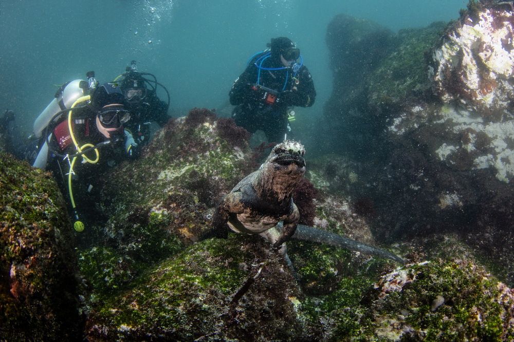 Photograph by Pavel Osada