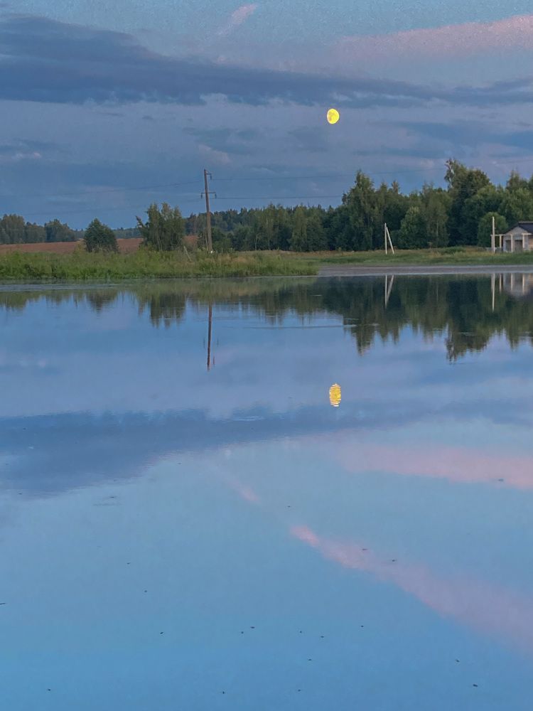 Photograph by Алла Творогова