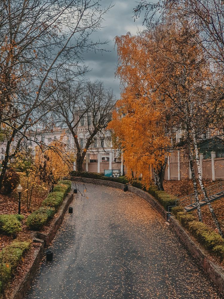 Фотография автора Аня