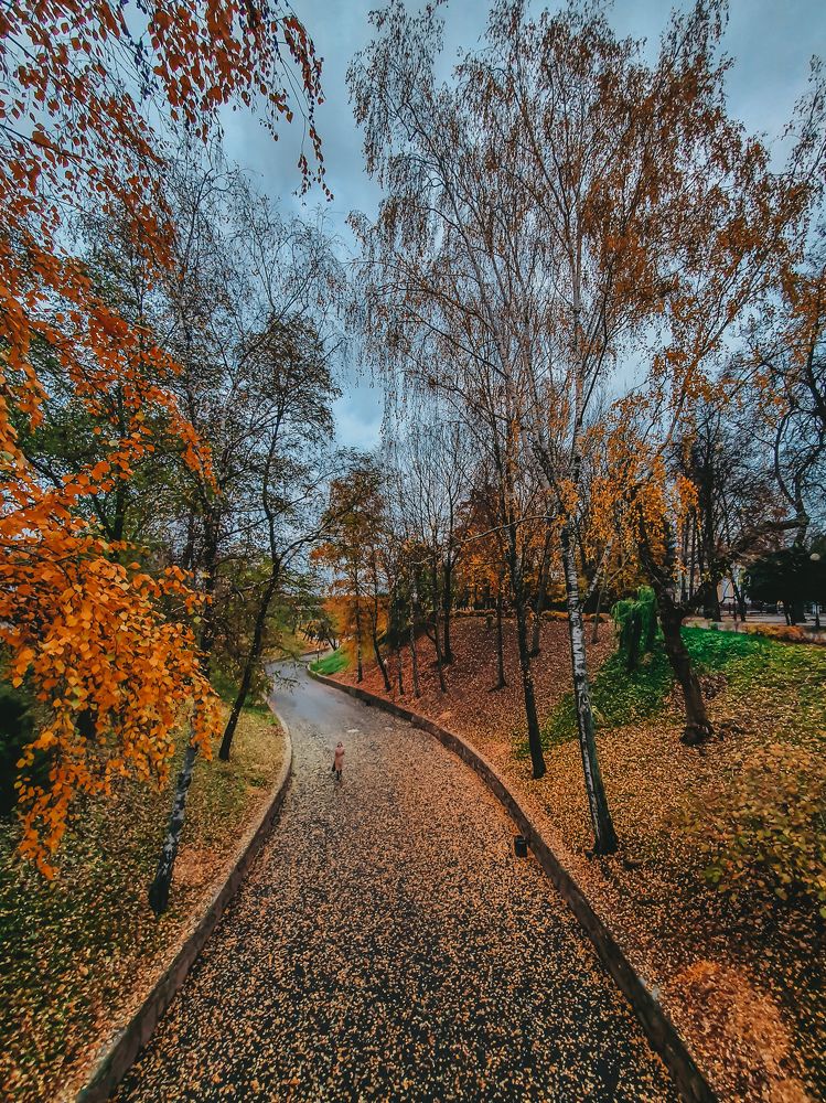 Фотография автора Аня