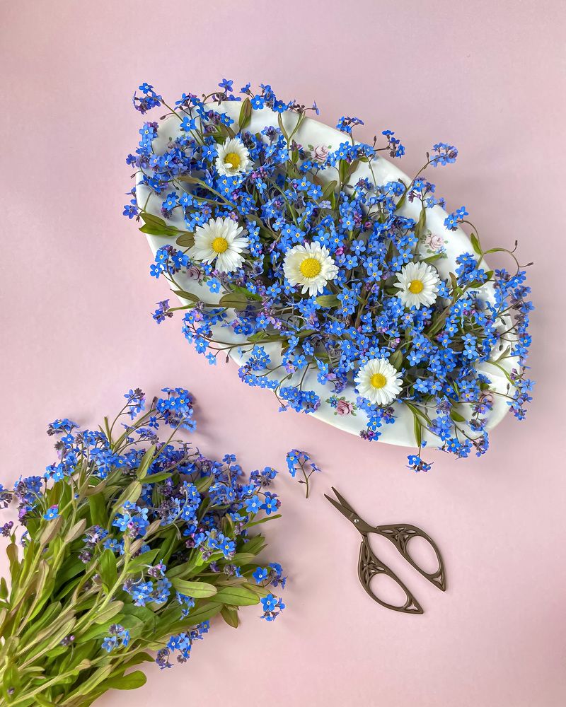 Photograph by Алла Творогова