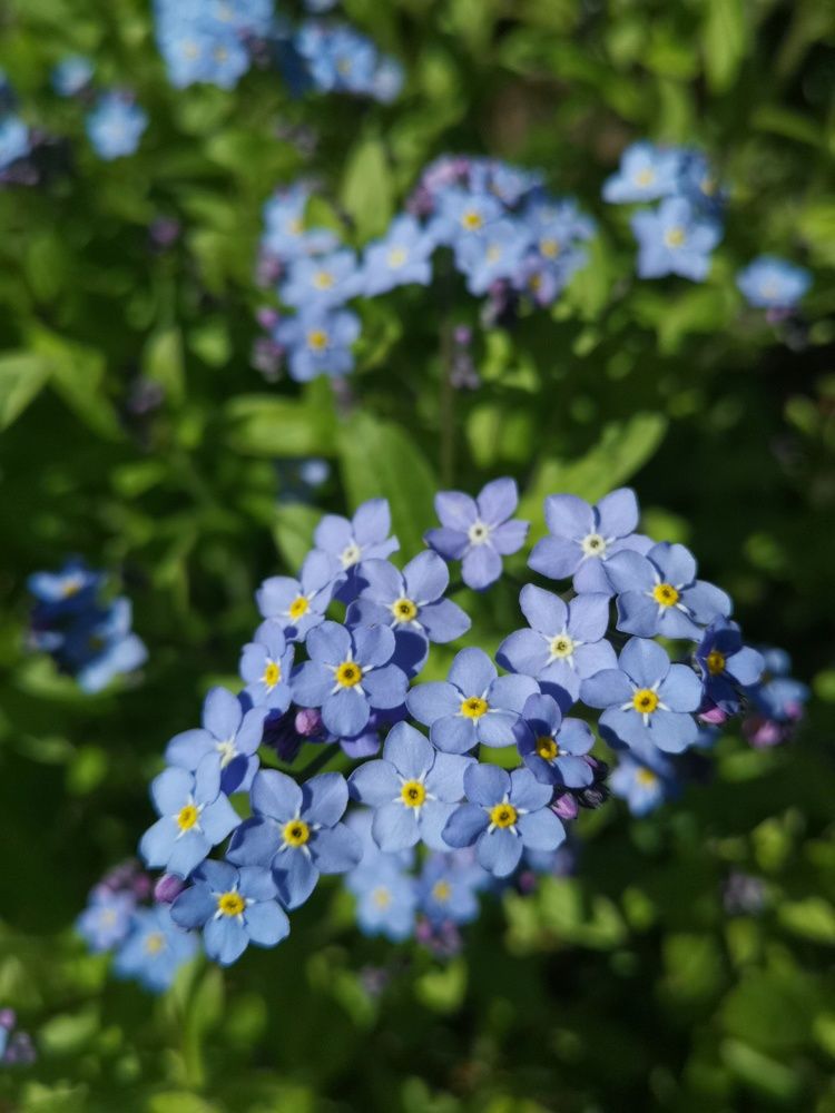 Photograph by Екатерина Борисовна Кузьмина