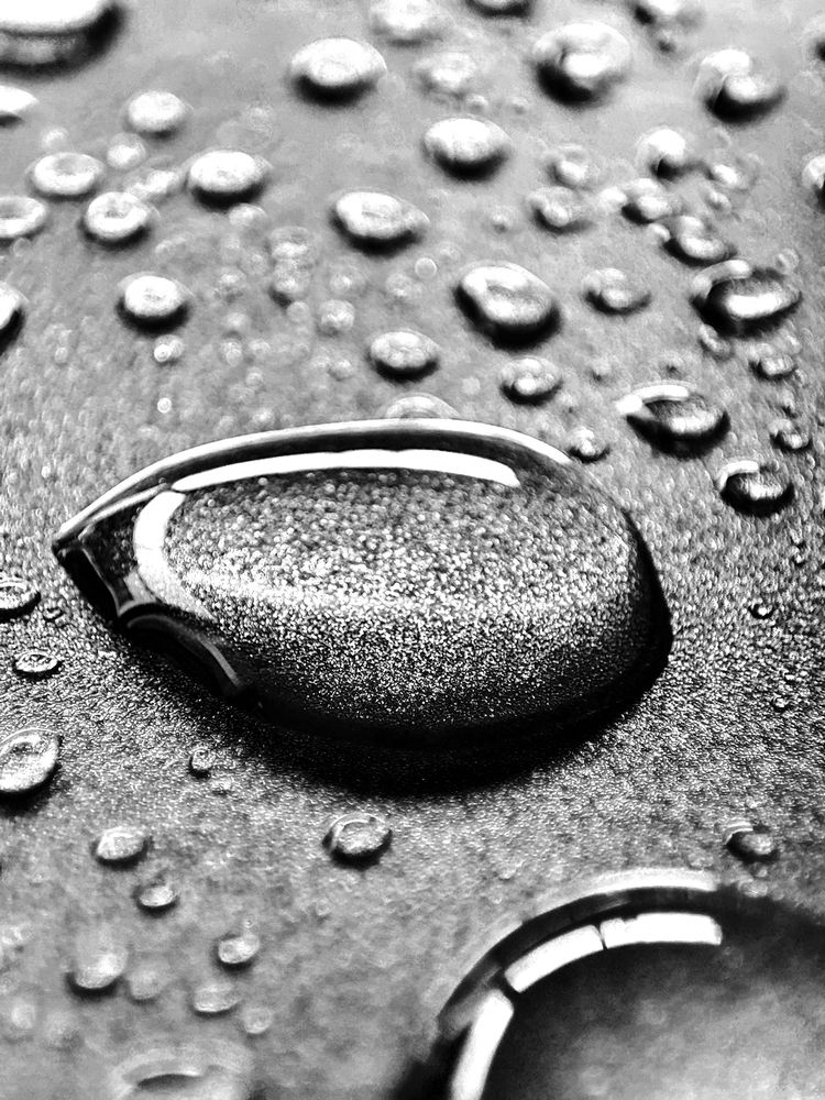 Photograph by Roger Antonio Duran Camacho