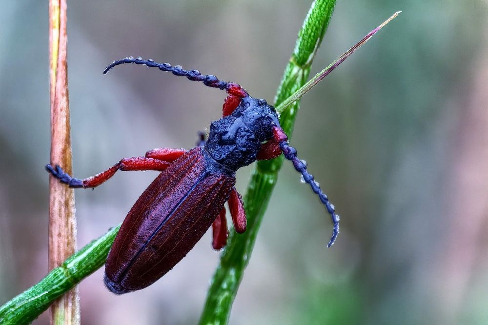 Photograph by Marko Stoickov