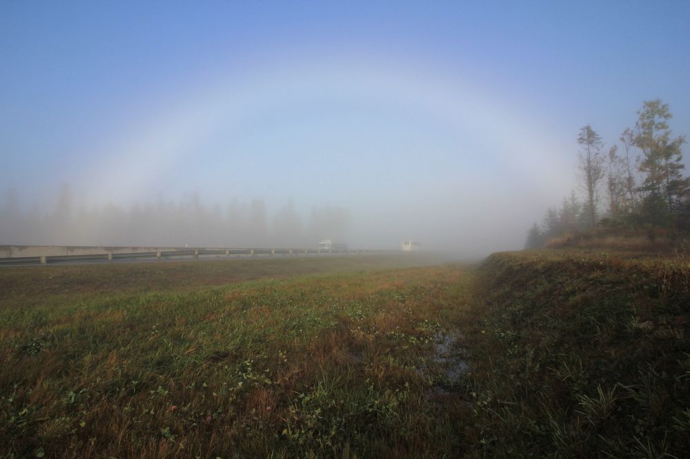 Photograph by Тимофей Петров