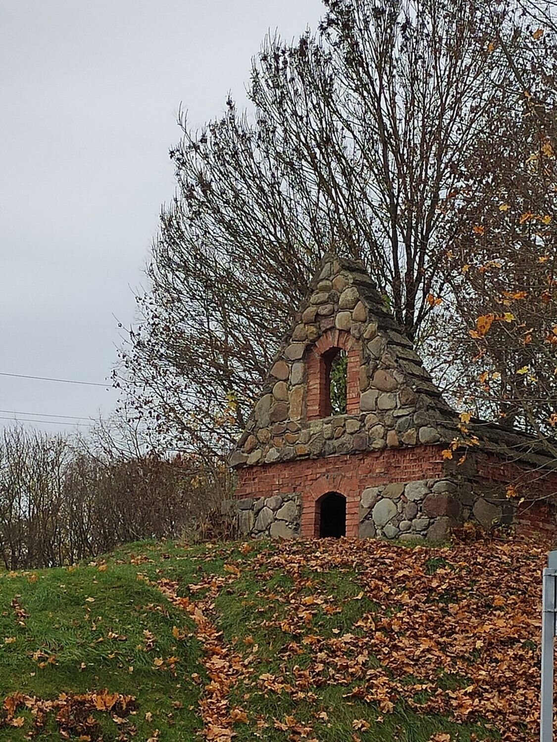 Photo #8264639