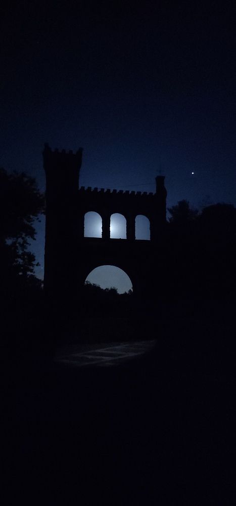 Photo #8264721
