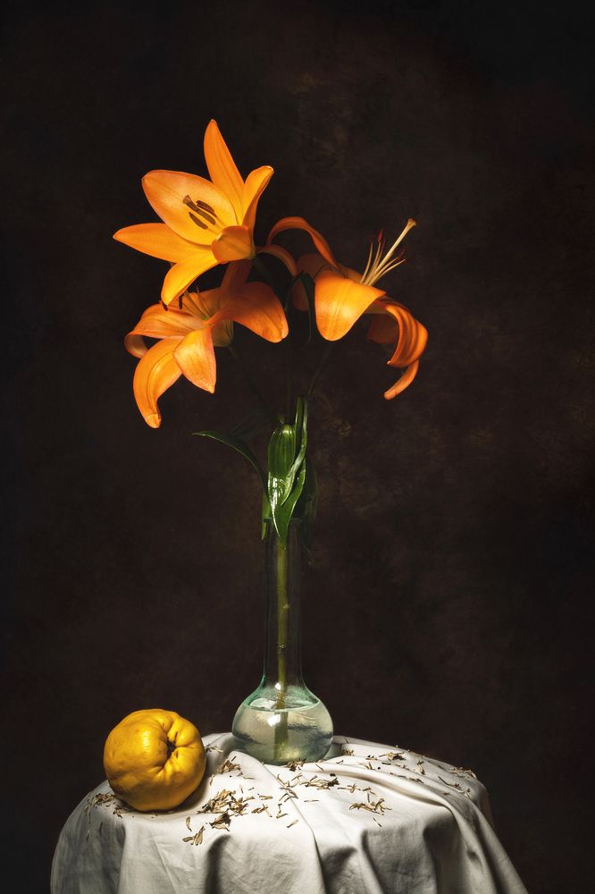 Photograph by Enrique Reyes