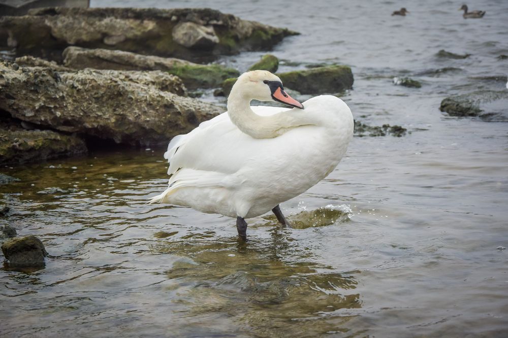 Фотография автора Альбина Хвастунова