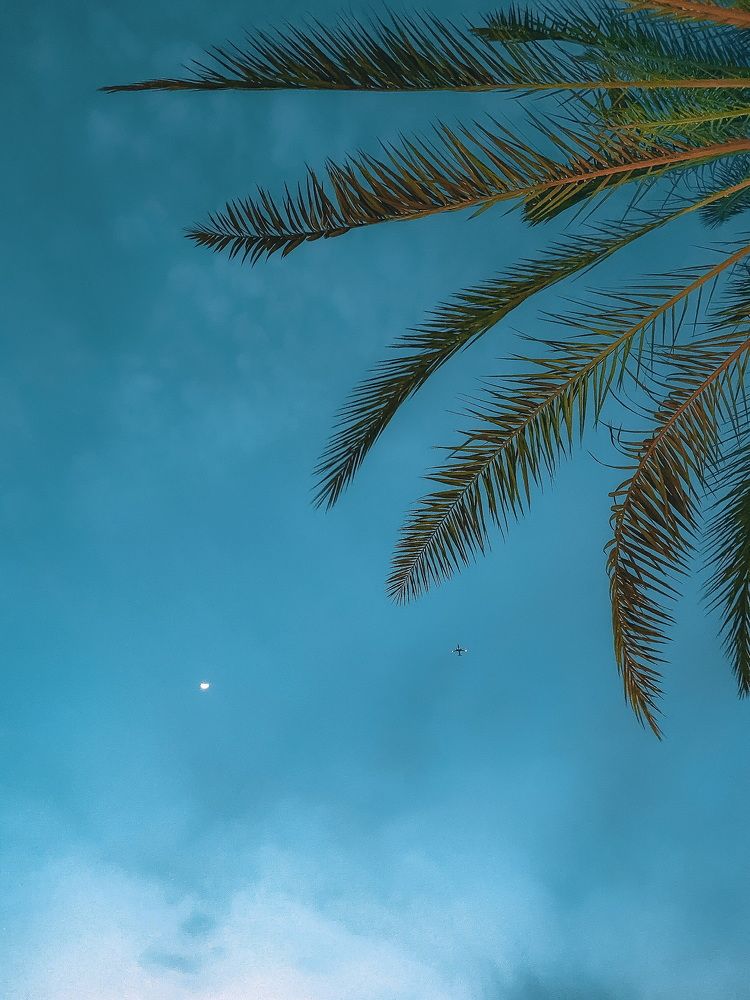 Photograph by Ivan Sazykin