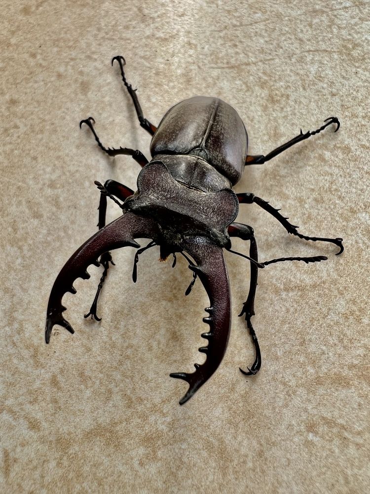 Фотография автора Александра Евченко