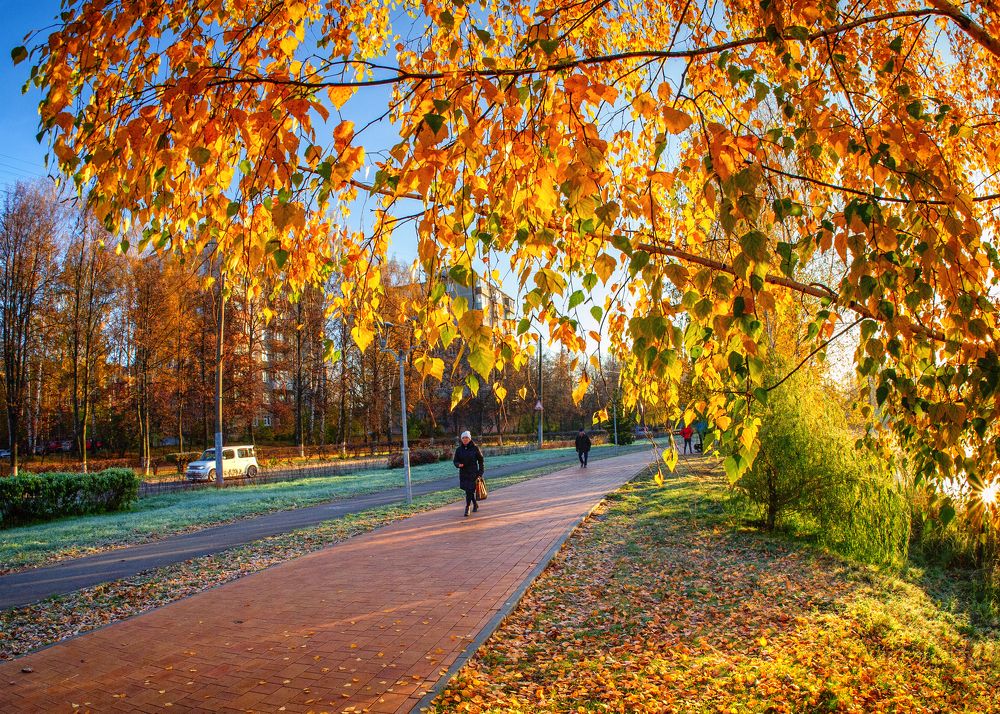 Фотография автора владимир шаронов
