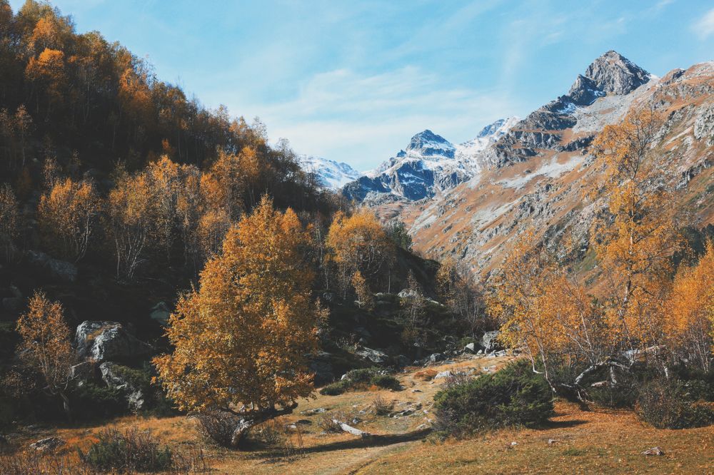 Photograph by Ерышова Анастасия